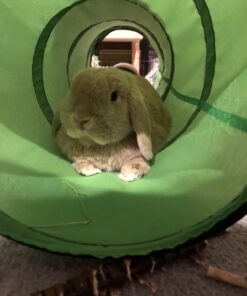 Petmate Jackson Galaxy Cat Crawl Solid Tunnel, Green/Orange 33 81dBpEILtiL