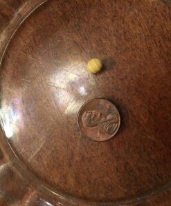 Hyperbiotics Pro Kids Probiotics | Vegan Daily Digestive Probiotic for Kids | Tiny Pearl Tablets | Easy to Swallow for Children | Gluten, Dairy & Sugar Free | Ages 3 & Up | Orange Flavor | 60 Count 41 81dDuhPWX8L