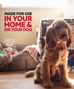 Raid Flea Killer, Kills Fleas, Crickets, Roaches, Silverfish and Ticks, Use in Your Home or on Your Dog (1 Pound (Pack of 6)) 12 81dLGv2JXNL