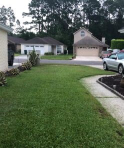 Great States 415-16 16-Inch Reel Mower Standard Full Feature Lawn Mower with T-Style Handle and Heat Treated Blades 16-Inch, 5-Blade Reel Only 53 81dLx5nHm4L