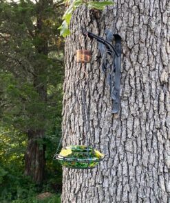 Skinny Ant Moat with Guard for Hummingbird Feeders - Gets Rid of Ants Fast in Nectar Feeder. All Natural & No Chemicals Needed. 40 81dMuIgSb L
