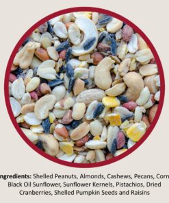 Lyric Fruit and Nut Wild Bird Seed - High Energy Wild Bird Food Mix - Attracts Woodpeckers, Chickadees & Other Songbirds - 5 lb bag 5.00 Pound (Pack of 1) 28 81dNaAijUNL