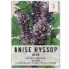 Seed Needs, Anise Hyssop Seeds - 500 Heirloom Seeds for Planting Agastache foeniculum - Medicinal Herb for Tea & Essential Oils, Non-GMO & Open Pollinated (1 Pack) 1 Pack (500 Seeds) 53 81dNdD U1IL