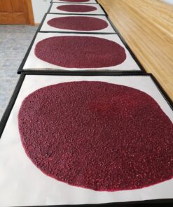 Chuzy Chef Set of 9 Dehydrator Sheets - Baking Mat Teflon Dehydrator Sheet - 14'' X 14'' Food Dehydrator Tray Liners Non Stick Sheets Baking Mat Food Dryer Sheet For Excalibur 18 81dNvrLQz7L