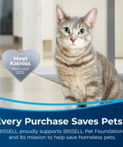 BISSELL Oxy Stain Destroyer Pet Plus Pretreat, 1773, 22 oz 26 81dOGKt2GL