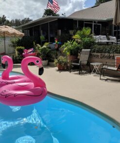 BigMouth Inc. Pink Flamingo Pool Float, Inflates to Over 4ft. Wide, Funny Inflatable Vinyl Summer Pool or Beach Toy, Patch Kit Included 37 81dOLMTENL