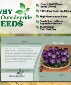 Outsidepride Viola Admiration Garden Flowers for Containers, Hanging Baskets, & Window Boxes - 1000 Seeds 10 81dP973IbkL