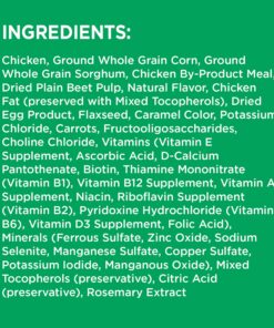 IAMS Adult Minichunks Small Kibble High Protein Dry Dog Food with Real Chicken, 15 lb. Bag 0 15 Pound (Pack of 1) 34 81dSx1n5ESL