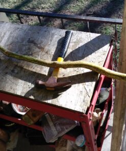 DAP 00107 107 Contact Cement, 3 Fl Oz 13 81dTmZKaLZL