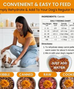 Olewo Original Carrots for Dogs – Fiber for Dogs Keep Poop Firm, Digestive Dog Food Topper, Skin & Coat Support, Dehydrated Whole Food Dog Multivitamin, Gut Health for Dogs, 2.2 lbs 2.2 Pounds 28 81dTntpaQTL