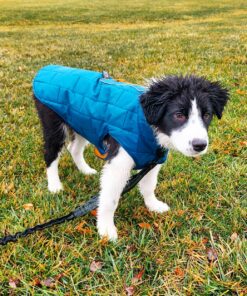 Kurgo Loft Dog Jacket, Reversible Dog Coat, Wear with Harness or Sweater, Water Resistant, Reflective, Winter Coat For Medium Dogs (Coastal Blue, M) Coastal Blue/Orange 53 81dXYsCRECL