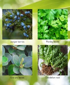 Nature's Sunshine Kidney Activator Capsules, 100 Capsules | Natural Kidney Supplement Contains Herbs to Support and Enhance Kidney Function and Urine Flow 11 81dYCwpFRiL