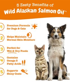 Wild Alaskan Salmon Oil for Dogs & Cats - Omega 3 Skin & Coat Support - Liquid Food Supplement for Pets - Natural EPA + DHA Fatty Acids for Joint Function, Immune & Heart Health, 32 Fl Oz 32 Fl Oz (Pack of 1) 21 81dYa 9s1RL