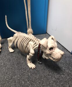 Crazy Bonez Pose-N-Stay Skeleton Original Pose-N-Stay 55 81dbmU8V9fL