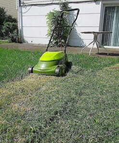 Sun Joe MJ401E 14-Inch 12-Amp Electric Lawn Mower w/Collapsible Handle for Storage, 3-Position Height Control, 10.6-Gallon Bag, Green Original Version 51 81ddg9miCLL