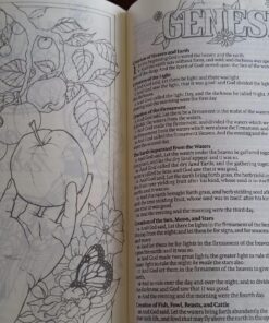 KJV Holy Bible, My Creative Bible, Faux Leather Flexcover - Ribbon Marker, King James Version, Pink Floral 71 81deUMywPuL