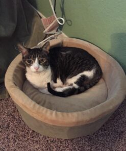 K&H Pet Products Thermo-Kitty Heated Cat Bed Small 16 Inches Sage/Tan 16.0"L x 16.0"W x 6.0"Th Retail Package 37 81dgz4eyXL