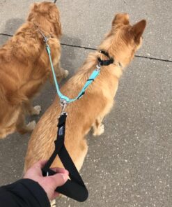 Leashboss Short Dog Leash for Dog Training | Padded Traffic Handle Short Leash for Dog Training, Total Comfort when Dog Walking | Traffic Leash for Dogs Large, Medium, Small | Short Nylon Dog Lead 12 Inch Black 56 81die8DADiL