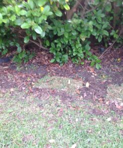 Poulan Pro PPBV25 25-cc 2-Cycle 230-MPH 450-CFM Handheld Gas Leaf Blower 16 81djf0xSEJL