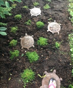 Sunset Vista Designs Cast Iron Turtle Garden Stepping Stone, 13-Inch long 21 81djfMtuGPL