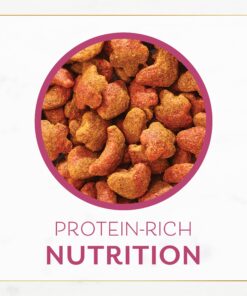 Purina Fancy Feast Dry Cat Food Filet Mignon Flavor with Seafood and Shrimp - 7 lb. Bag Filet Mignon, Seafood & Shrimp 7.00 Pound (Pack of 1) 30 81dlgIZQsqL