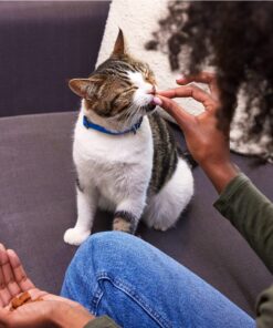 TEMPTATIONS Classic Crunchy and Soft Cat Treats Tasty Chicken Flavor, 16 oz. Tub 29 81dm7h04XhL