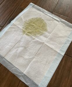 Amazon Basics Dog and Puppy Pee Pads with Leak-Proof Quick-Dry Design for Potty Training, Standard Absorbency, Regular Size, 22 x 22 Inches, Pack of 100, Blue & White Unscented Regular (100 Count) 34 81drKXfF61L 4