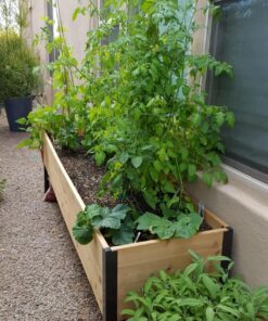 Gardener's Supply Company Raised Garden Bed Elevated Cedar Planter Box | 2' x 8' Standing Garden for Outdoor Plant Vegetables & Flower Gardening Perfect for Patio Deck & Backyard 45 81duga9YxHL