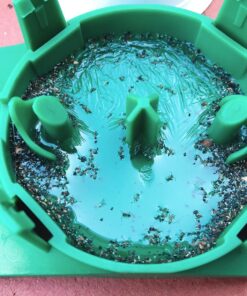 Terro 1806 Outdoor Liquid Ant Baits, 1.0 fl. oz. - 6 count 42 81dv5jCQ3fL