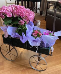 Collections Etc Amish Wagon Decorative Indoor/Outdoor Garden Backyard Planter, Green 48 81dvXCYzEnL