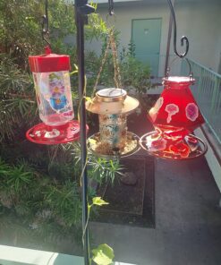 First Nature 3055 32-ounce Hummingbird Feeder 33 81dwSKCz8HL