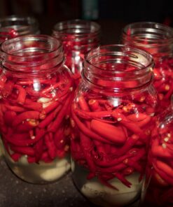 General Hydroponics MaxiGro Plant Food For Vigorous Growth, 2.2 lb 50 81dx2IDfs L