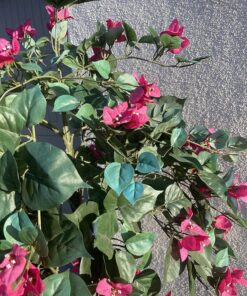 Nearly Natural 5228 Mini Bougainvillea Topiary Beauty, 5-Feet,9" x 9" x 62.5" , Green Plant 30 81dx8aeI3DL