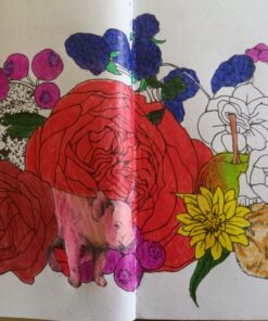 Mori ga kanaderu rhapsody. Rhapsody in the forest.(Coloring Book Japan Edition) 68 81dxkmdh06L