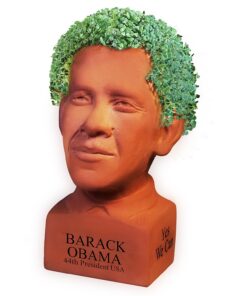 Chia Pet Determined Pose Obama with Seed Pack, Decorative Pottery Planter, Easy to Do and Fun to Grow, Novelty Gift, Perfect for Any Occasion 6 81e0PQxZmL