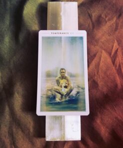 The Fountain Tarot: Illustrated Deck and Guidebook 43 81e1vCMNbDL