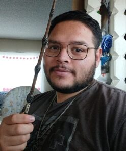 The Elder Wand, The Wand of Professor Dumbledore 47 81e2drYuw8L