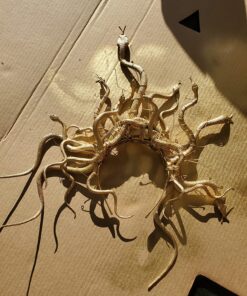 Fun Central 12-Pack Realistic Rubber Snakes - 14-Inch Flexible Prank Props, Party Favors, Halloween Décor, Garden Protection - Hilarious Fun for Kids & Adults, Assorted Styles 26 81e3nToz6SL