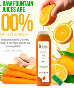 3 Day Juice Cleanse by Raw Fountain, All Natural Raw Detox Cleanse, Weight Management Program, Cold Pressed Fruit and Vegetable Juices, Tasty and Energizing, 18 Bottles 12oz, 3 Ginger Shots 3 Day Cleanse 30 81e97N4LyL
