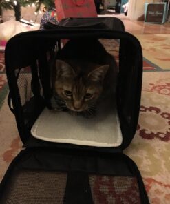 Amazon Basics Soft-Sided Mesh Pet Travel Carrier for Dog, Cat, Medium, 16.5"L x 9.4"W x 9.8"H, Black Without Wheels 49 81eBWeHQSxL