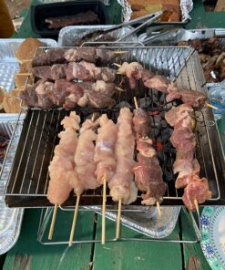 Quick Grill Medium: Original Folding Charcoal BBQ Grill Made from Stainless Steel/Carrying Bag for Backpacking Included / 51 81eIe0g3LUL