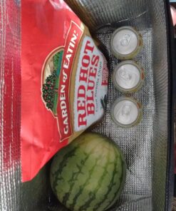 NZ home Insulated Cooler Bag and Food Warmer (XL Plus, 2 Pack) for Food Delivery & Grocery Shopping with Zippered Top, Black XL Plus 54 81eLMPc3TEL 2