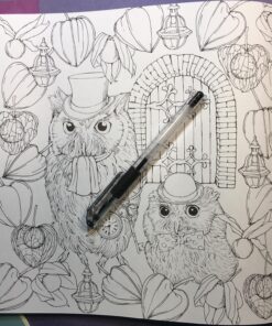 Mori ga kanaderu rhapsody. Rhapsody in the forest.(Coloring Book Japan Edition) 47 81eNymAetyL