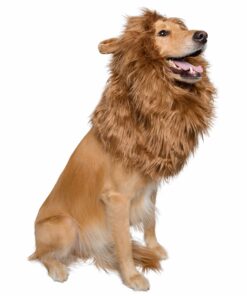 Pet Krewe Large Dog Lion Mane Halloween Costume – Fits Neck Size 13”- 32”- Lion Mane for Small Dogs – Ideal for Halloween, Dog Birthday, Dog Cosplay, Dog Outfits, Pet Clothes 23 81eO ZoBVL