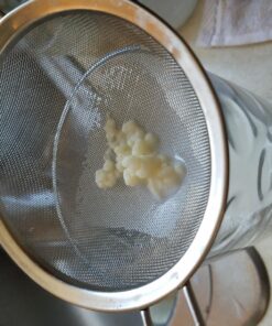Kefir Grains - Living Probiotic Enriched "As seen on TV" 20 81eOa2MHL4L