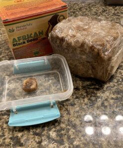 Organic African Black Soap - For Acne & Dark Spots | Natural Vegan and Cruelty Free – Satisfaction Guarantee 1lb bar | 90 day Supply 1 Pound (Pack of 1) 58 81eQwG7qEPL