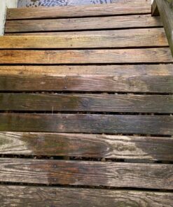 WM BARR WM BARR FG505 house-primers, 1-Gallon 33 81eSHebFfML