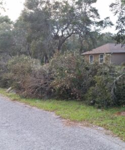 WORX WG303.1 14.5 Amp 16" Electric Chainsaw 16" 14.5Amp Electric Chainsaw 51 81eSyZPez9L