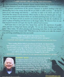 Alternative view of Dreaming the Soul Back Home: Shamanic Dreaming for Healing and Becoming Whole