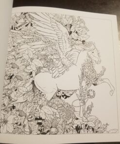 Mythographic Color and Discover: Animals: An Artist's Coloring Book of Amazing Creatures and Hidden Objects 60 81ea1pfhDL